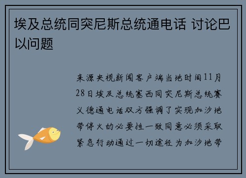 埃及总统同突尼斯总统通电话 讨论巴以问题