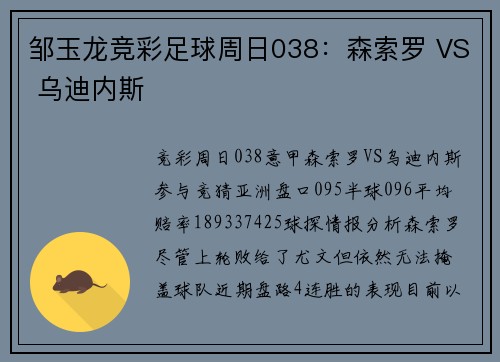 邹玉龙竞彩足球周日038：森索罗 VS 乌迪内斯